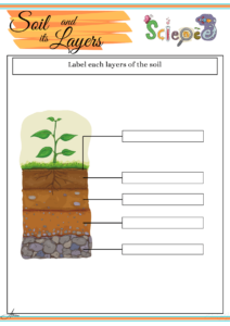 Grade 3 Science Worksheets Earth Science Education PH