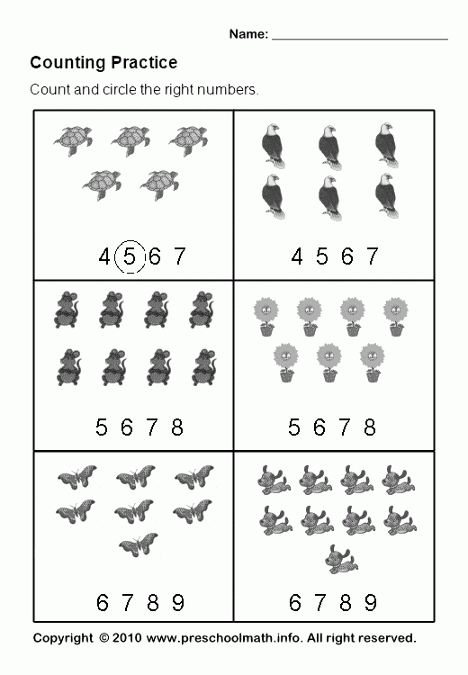 3rd Grade Math Fractions Worksheets