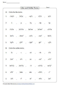 Recognizing Polynomials Worksheets