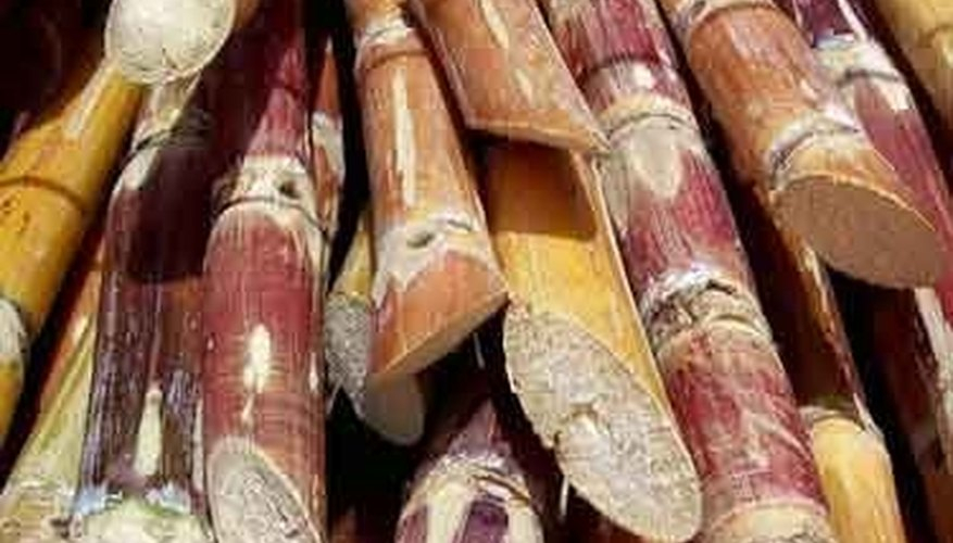 What Is Sugar Cane Sciencing